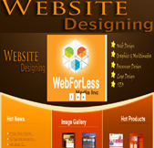 Web Designing Surrey